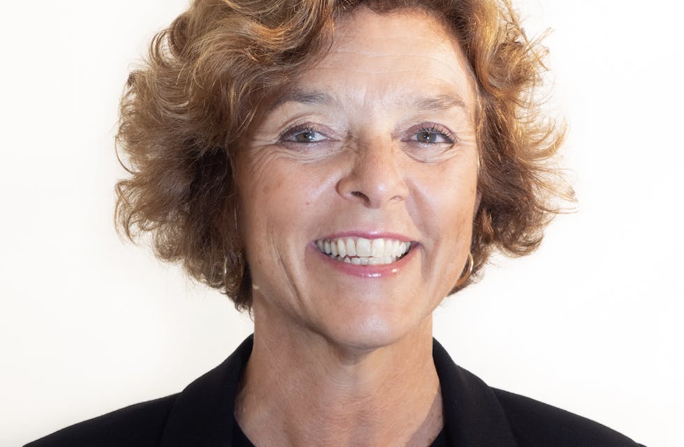 Lise Campbell Lehne er Seniorrådgiver i Ipsos Norge.